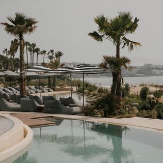 nidoestepona